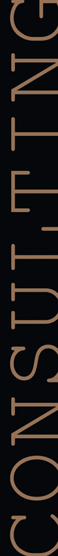 Susan Rauche Consulting