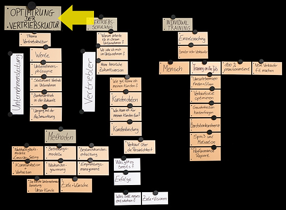 Susan Rauche Consulting - Vertriebskultur